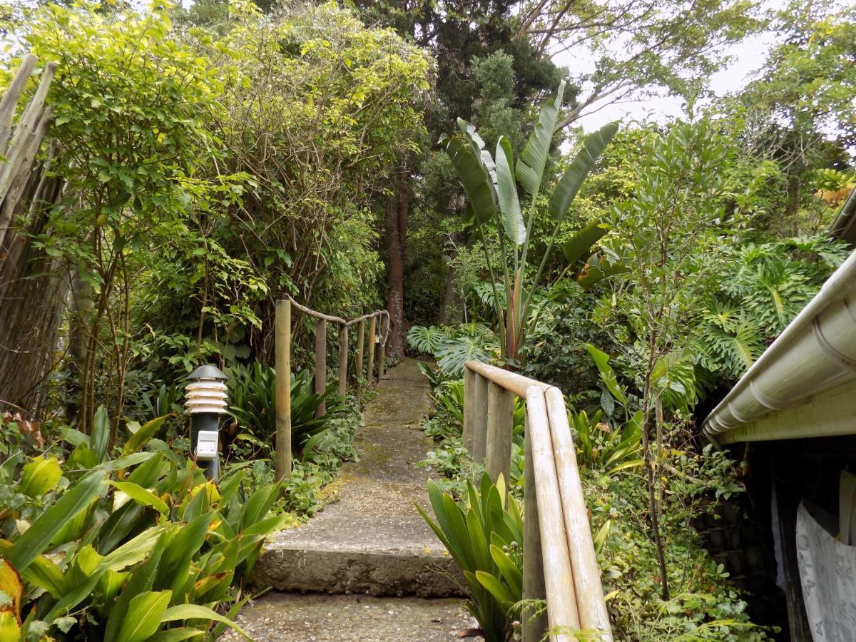 Protea Guest House Knysna Eksteriør billede