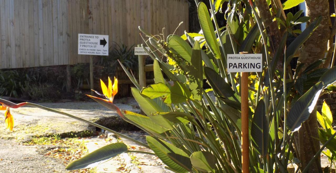 Protea Guest House Knysna Eksteriør billede