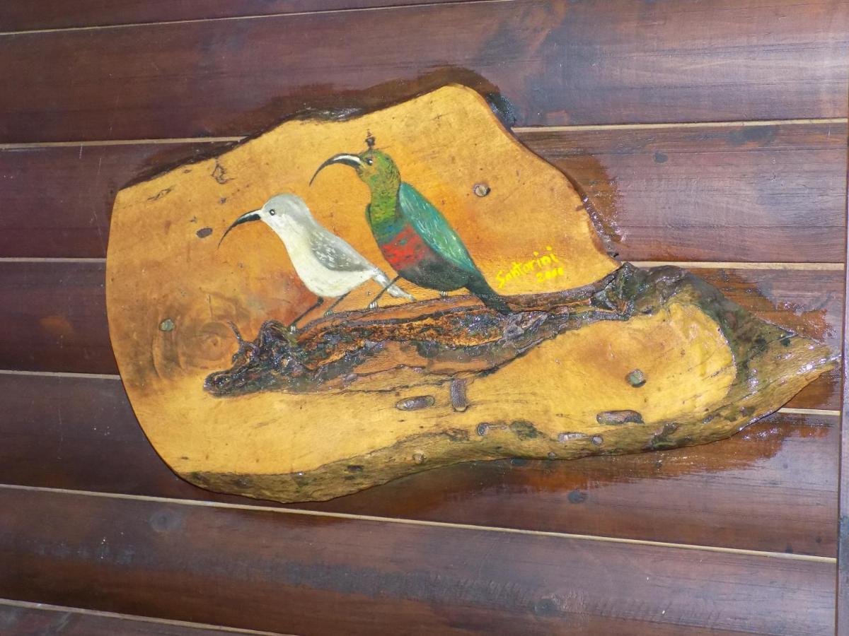 Protea Guest House Knysna Eksteriør billede