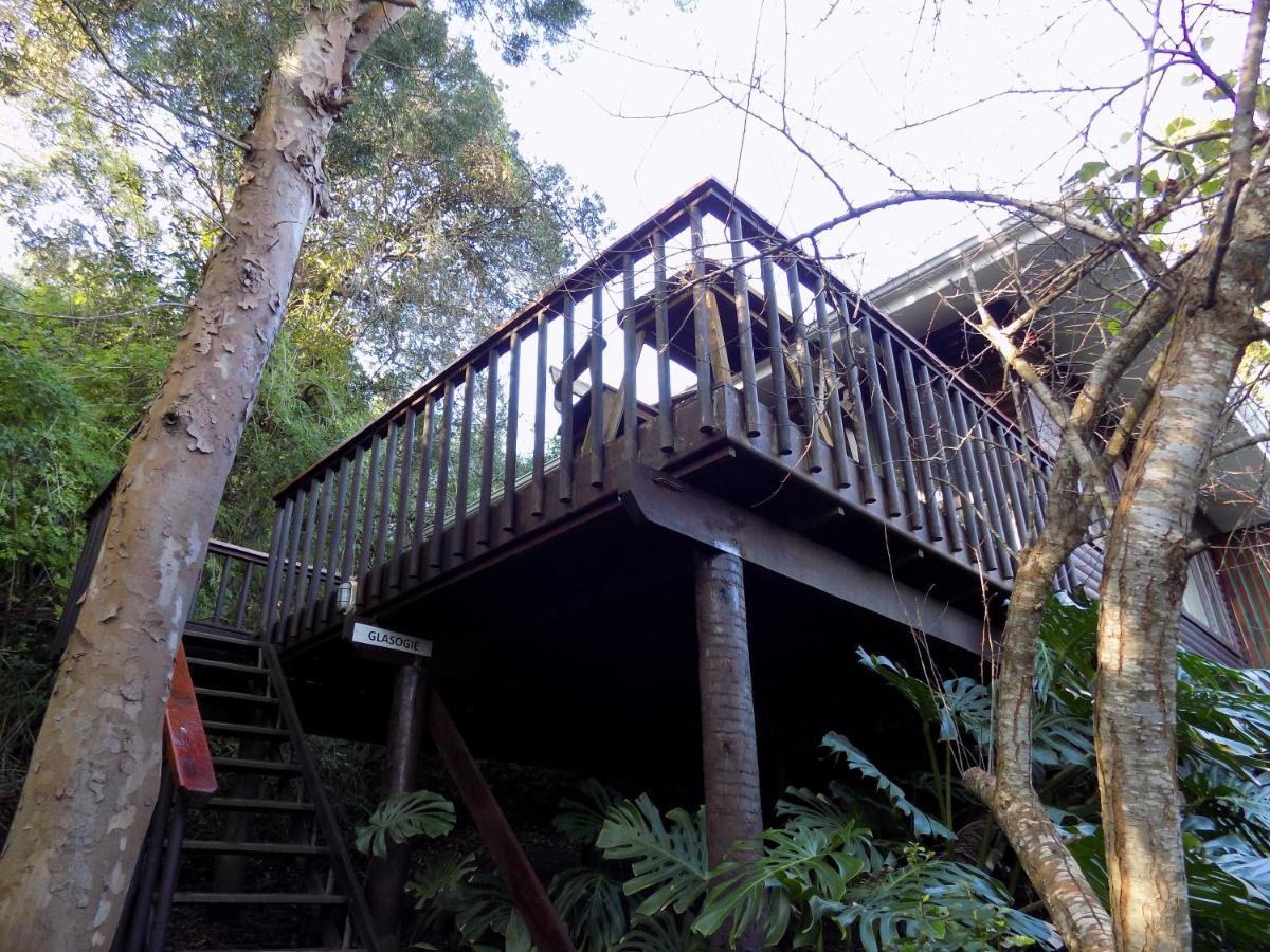 Protea Guest House Knysna Eksteriør billede