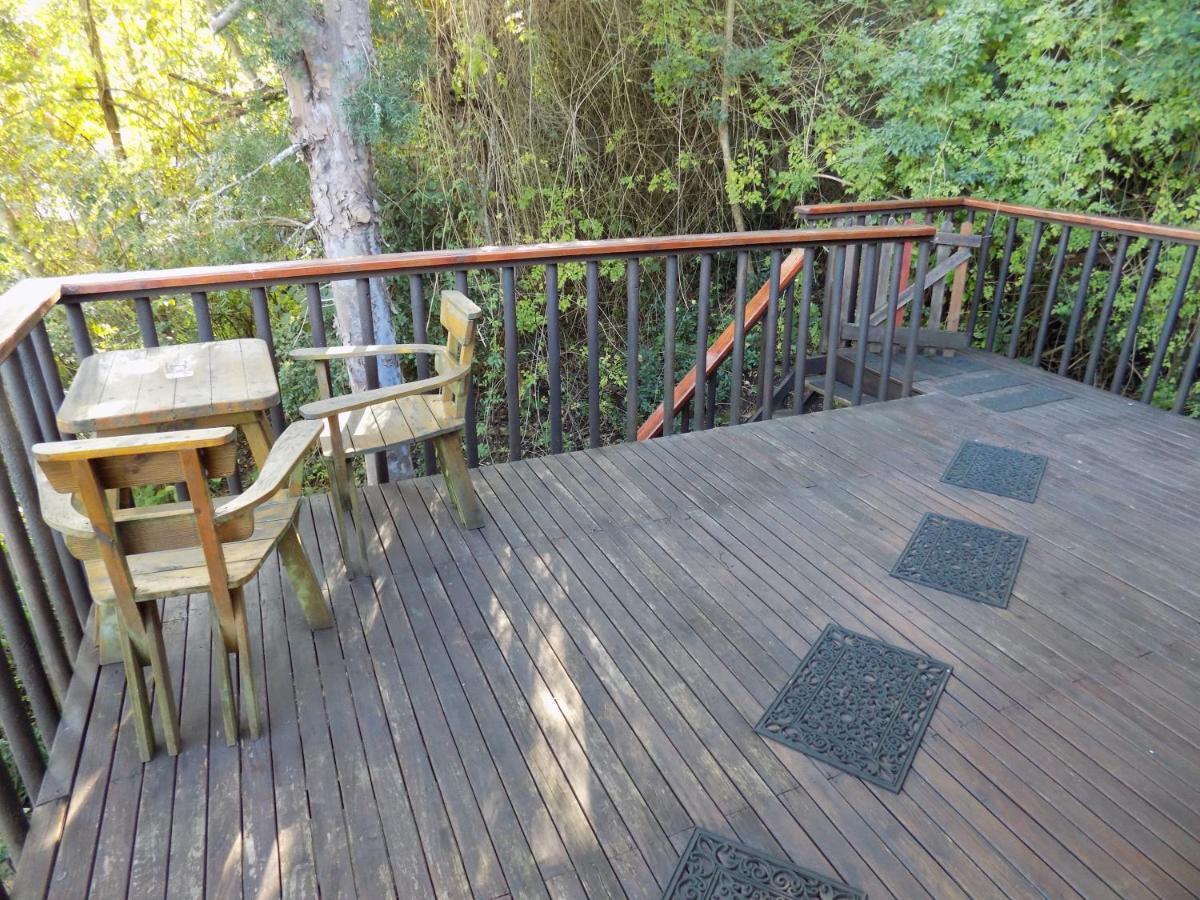 Protea Guest House Knysna Eksteriør billede