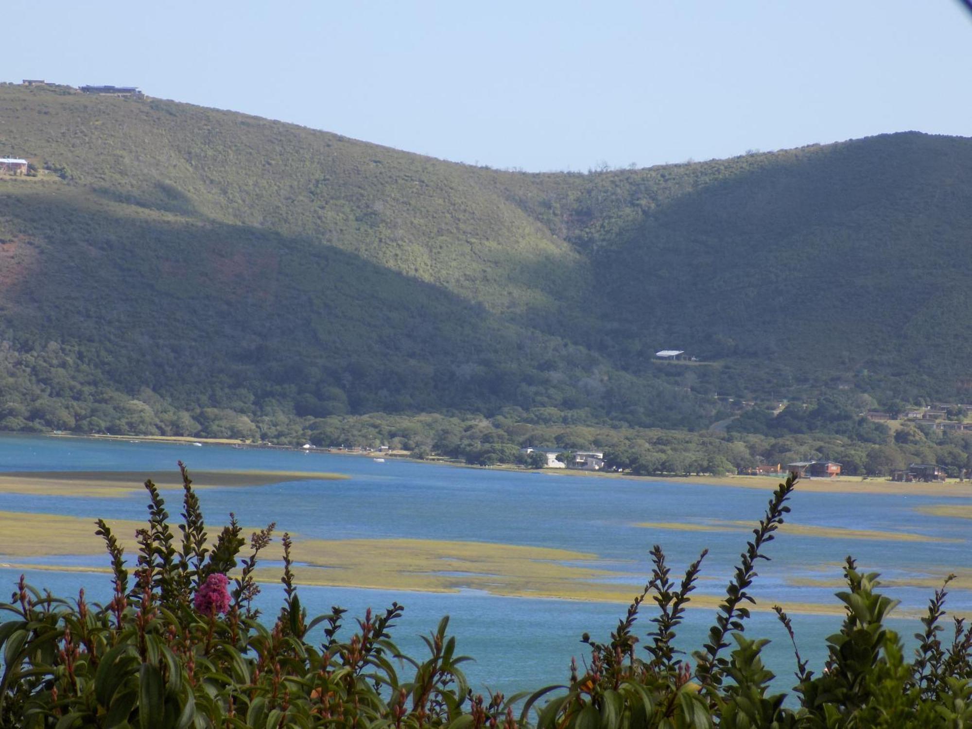 Protea Guest House Knysna Værelse billede