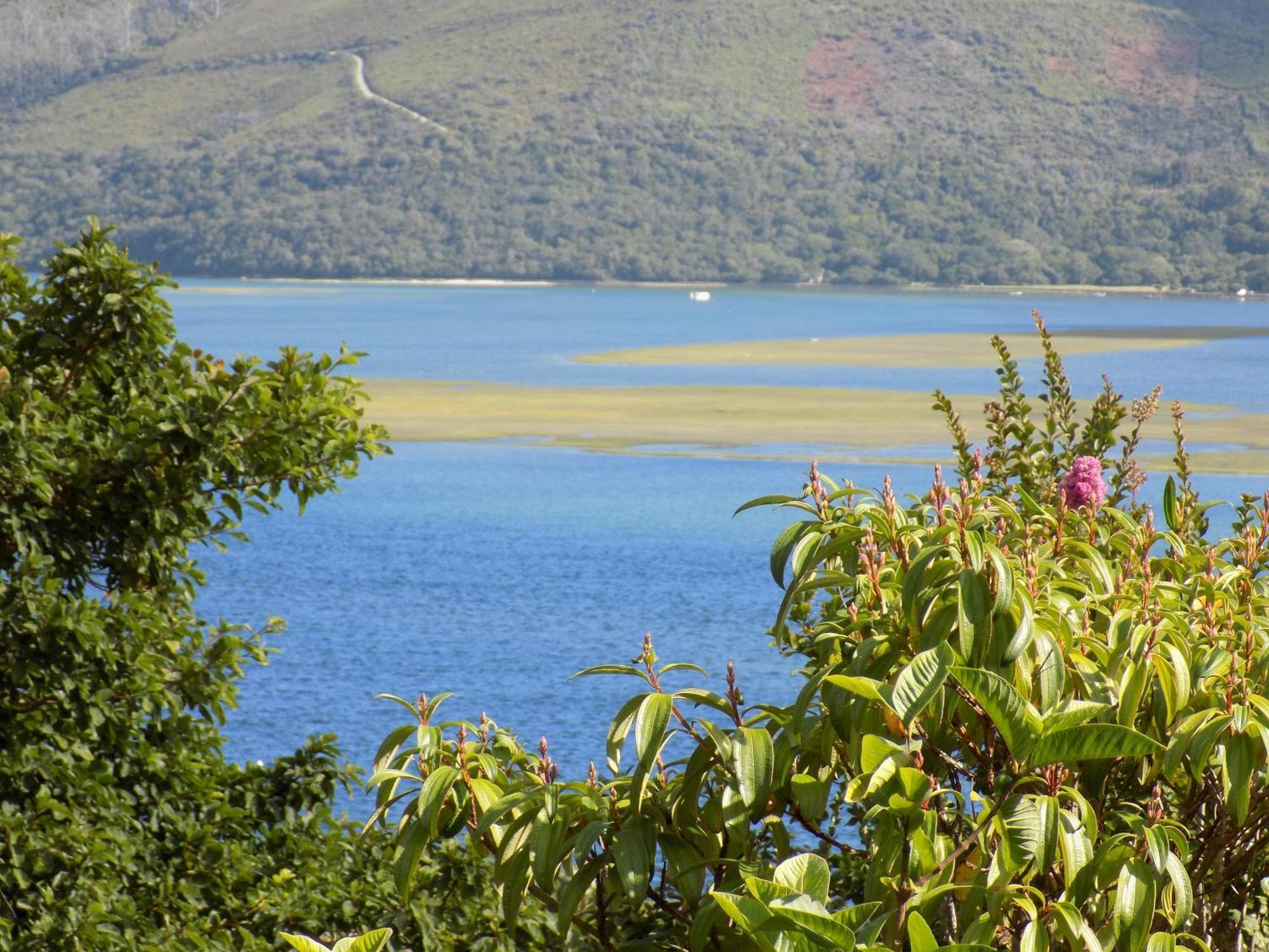Protea Guest House Knysna Værelse billede